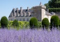 Chateau de Villandry in the Loire Valley. Photo taken from the ornamental garden with Russian Sage Perovskia flowers in foreground