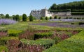 Chateau de Villandry in the Loire Valley. Photo taken from the ornamental garden with Russian Sage Perovskia flowers in foreground