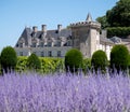 Chateau de Villandry in the Loire Valley. PPhoto taken from the ornamental garden with purple Russian Sage flowers in foreground. Royalty Free Stock Photo