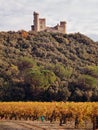 Chateau du jonquier, gard,