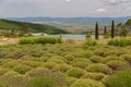 Chateau GaÃ¯-Kodzor. A small private full-cycle farm \