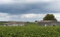 Chateau Guadet Vinyard Saint-Emilion Royalty Free Stock Photo
