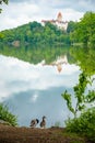 Chateau Konopiste at reflected in the water with two ducks in the foreground, Central Bohemia, Czech Republic Royalty Free Stock Photo
