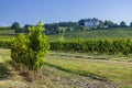 Chateau Monbazillac ( Monbazillac castle) with vineyards, Aquitaine, France