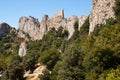 Chateau Peyrepertuse