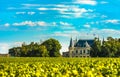Chateau and vineyard in Margaux, Bordeaux, France