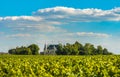 Chateau and vineyard in Margaux, Bordeaux, France Royalty Free Stock Photo