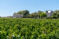 Chateau vineyard in Margaux MÃÂ©doc Bordeaux France Royalty Free Stock Photo