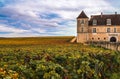 Chateau with vineyards in the autumn season, Burgundy, France Royalty Free Stock Photo