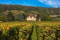 Chateau with vineyards in the autumn season, Burgundy, France Royalty Free Stock Photo