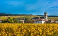 Chateau with vineyards in the autumn season, Burgundy, France Royalty Free Stock Photo