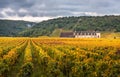 Chateau with vineyards in the autumn season, Burgundy, France Royalty Free Stock Photo