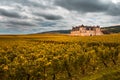 Chateau with vineyards in the autumn season, Burgundy, France Royalty Free Stock Photo