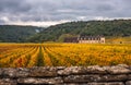 Chateau with vineyards in the autumn season, Burgundy, France Royalty Free Stock Photo
