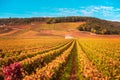 Chateau with vineyards in the autumn season, Burgundy, France Royalty Free Stock Photo