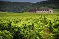 Chateau with vineyards, Burgundy, France Royalty Free Stock Photo