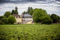 Chateau with vineyards, Burgundy, France Royalty Free Stock Photo