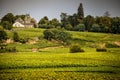 Chateau with vineyards, Burgundy, France Royalty Free Stock Photo