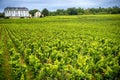 Chateau with vineyards, Burgundy, France Royalty Free Stock Photo