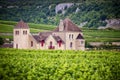 Chateau with vineyards, Burgundy, France Royalty Free Stock Photo