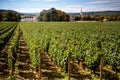 Chateau with vineyards, Burgundy, Montrachet.France Royalty Free Stock Photo