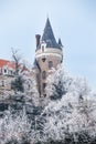 Chateau Zleby in winter Royalty Free Stock Photo