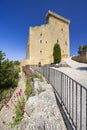 Chateauneuf-du-Pape castle ruins, Cotes du Rhone, France Royalty Free Stock Photo