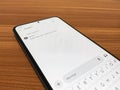 ChatGPT 4.0 interaction on phone