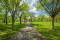 Chatham Square Park, in New Haven, Connecticut