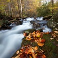 Chattahoochee National Forest Royalty Free Stock Photo