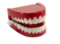 Chatter Teeth Royalty Free Stock Photo