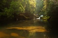 Chattooga River at Dawn