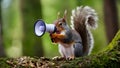 Chatty Squirrel\'s Forest Broadcast. Concept Nature Photography, Wildlife Observations, Forest