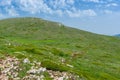 Chatyr-Dah mountainous massif in Crimea