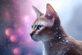 Chausie Cat Medium Shot White Pink Blue Magical Fantasy Bokeh