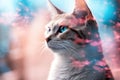 Chausie Cat Medium Shot White Pink Blue Magical Fantasy Bokeh