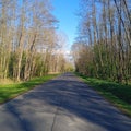 Chaussee or avenue in the countryside Royalty Free Stock Photo