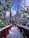 Chautauqua Institution Footbridge in Winter Royalty Free Stock Photo