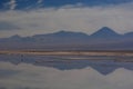 Chaxa lagoon. Los Flamencos National Reserve. Chile Royalty Free Stock Photo