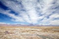 Chaxa Lagoon in the Salar de Atacama, Chile Royalty Free Stock Photo