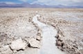 Chaxa Lagoon in the Salar de Atacama, Chile Royalty Free Stock Photo