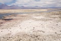 Chaxa Lagoon in the Salar de Atacama, Chile Royalty Free Stock Photo