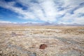 Chaxa Lagoon in the Salar de Atacama, Chile Royalty Free Stock Photo
