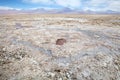 Chaxa Lagoon in the Salar de Atacama, Chile Royalty Free Stock Photo