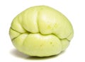 Chayote