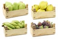 Chayote fruit Sechium edulis, fresh quince fruits `Cydonia oblonga`,Mixed tropical fruits , small green snack bananas and figs