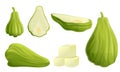 Chayote icons set, cartoon style