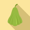 Chayote plant icon, flat style