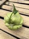 a chayote plants that are ready to be planted have shoots and several healthy roots at the bottom