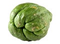 Chayote Sechium edule. Royalty Free Stock Photo